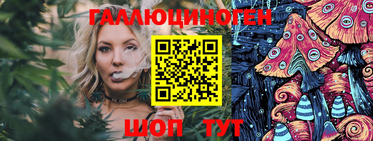 Псилоцибиновые грибы мухоморы Курчатов