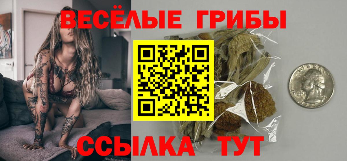 Галлюциногенные грибы MAGIC MUSHROOMS  Вход с VPN  Курчатов 